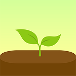 forest专注森林安卓版下载_forest专注森林手机版下载